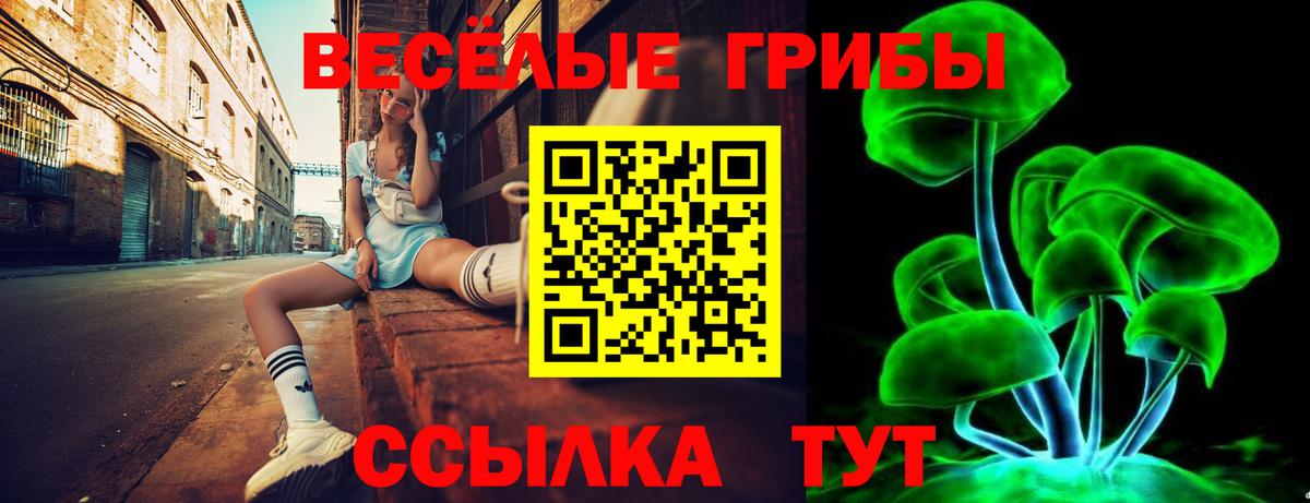 Липецк  Псилоцибиновые грибы мицелий  где купить наркоту  Вход с VPN 